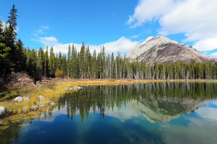 mirror reflection nature photography