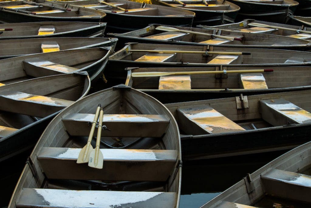 A Camera Around My Neck Finding Possibilities Through My Viewfinder