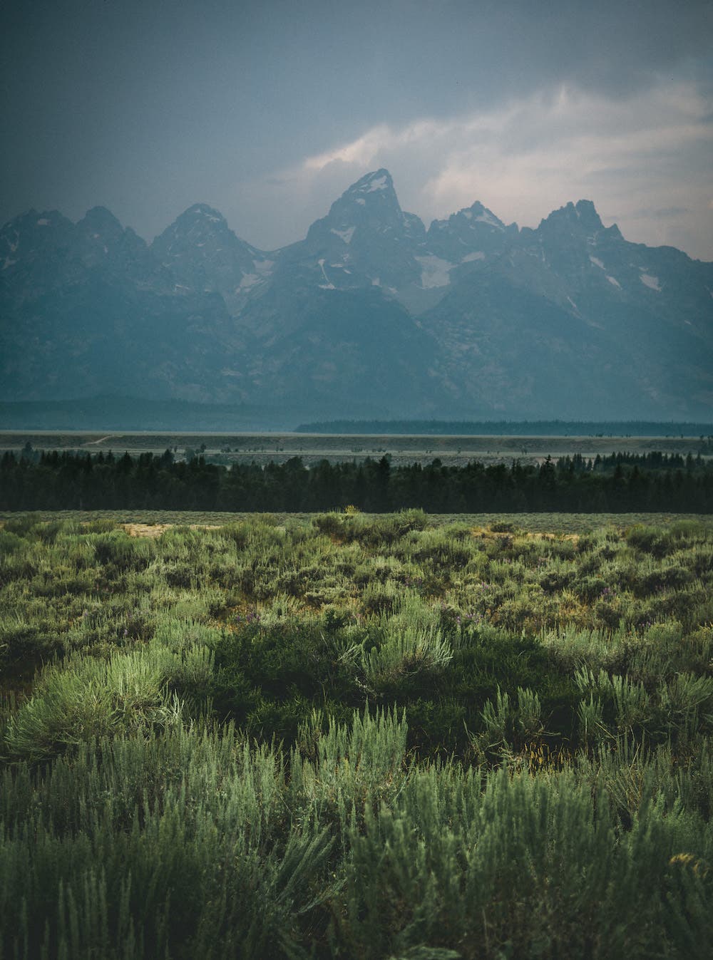 Grand Teton National Park