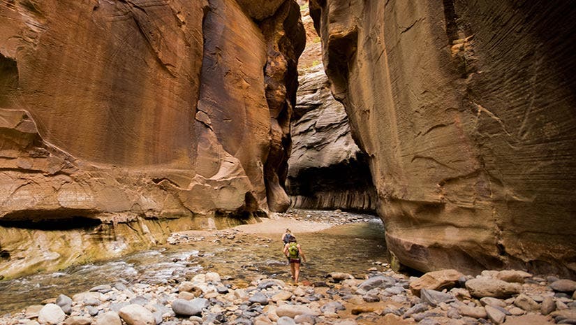 zion narrows