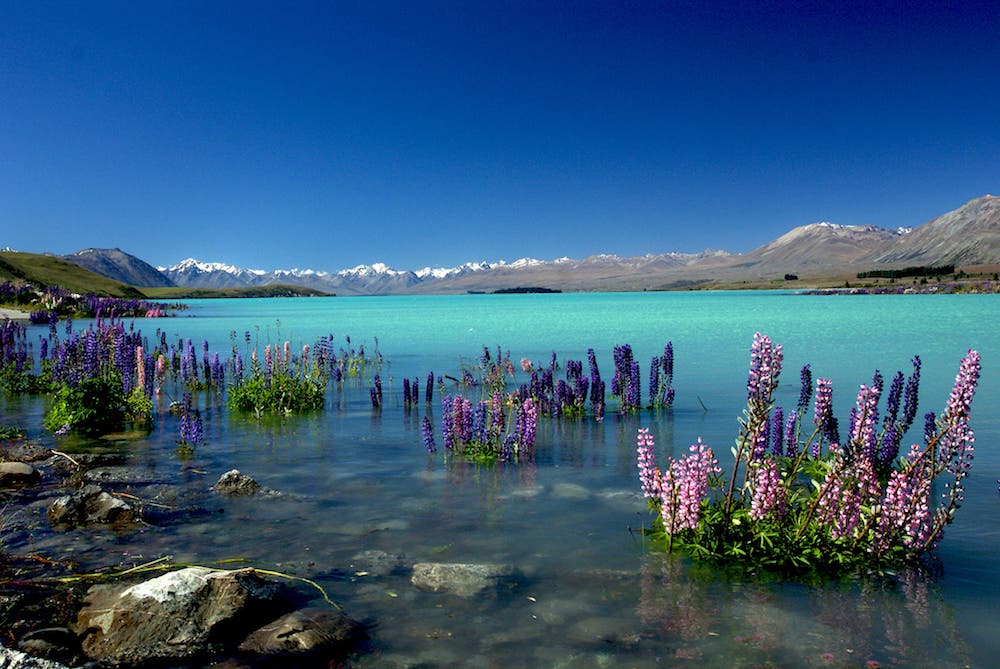 Tekapo, New Zealand