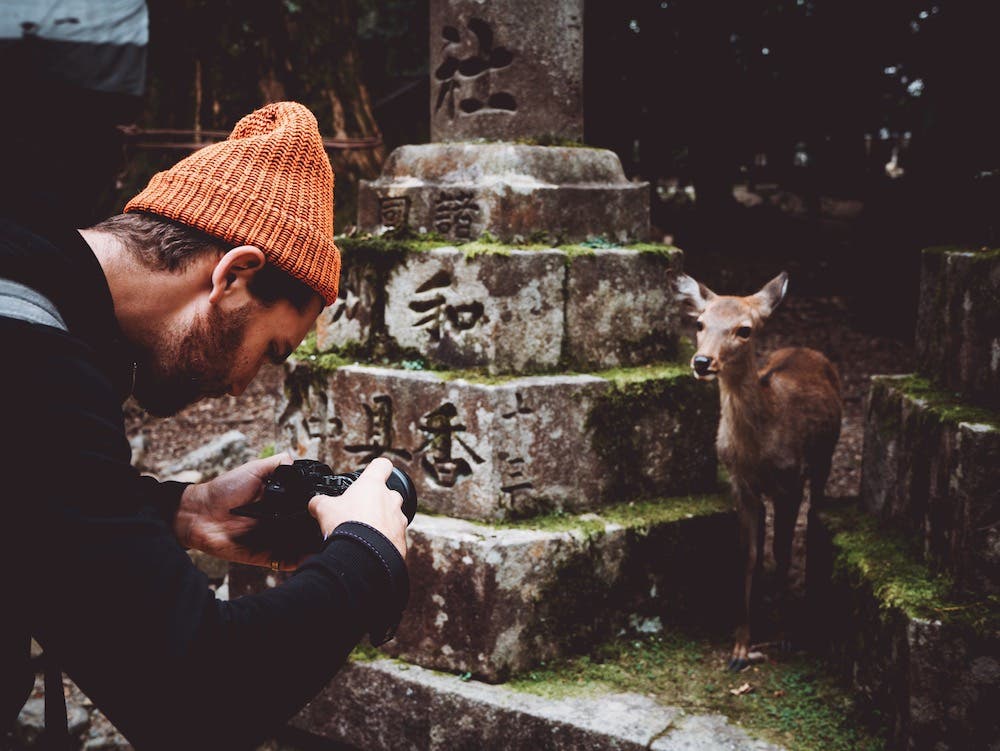 Zach Allia nature photography