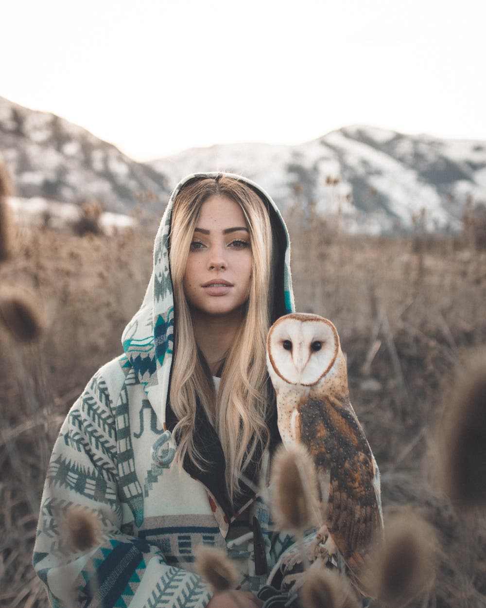 Zach Allia nature photography