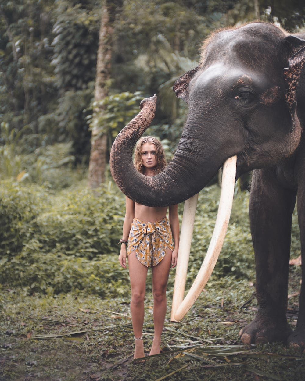 Zach Allia nature photography