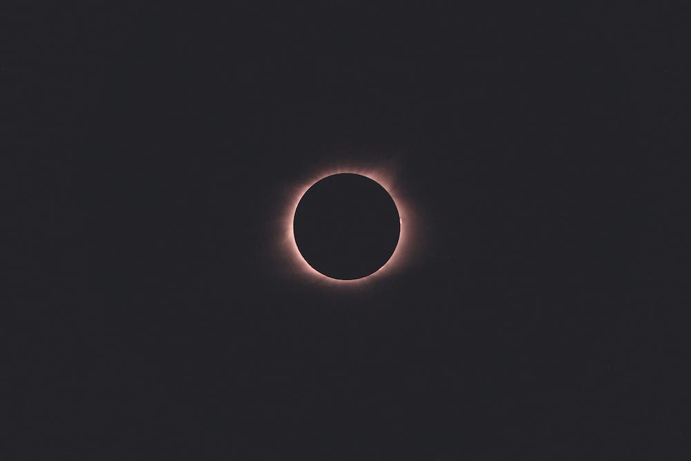 Zach Allia nature photography