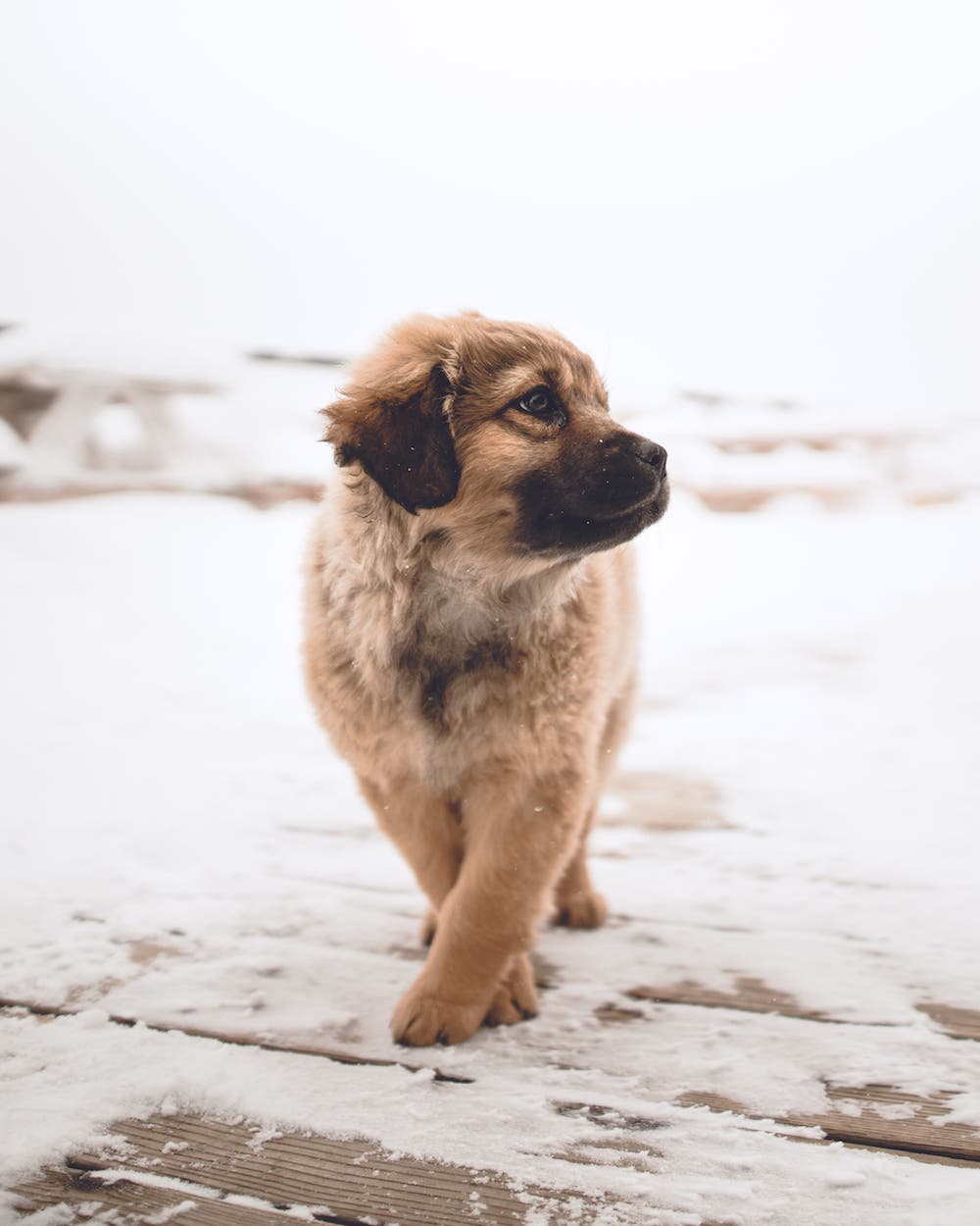 Zach Allia nature photography