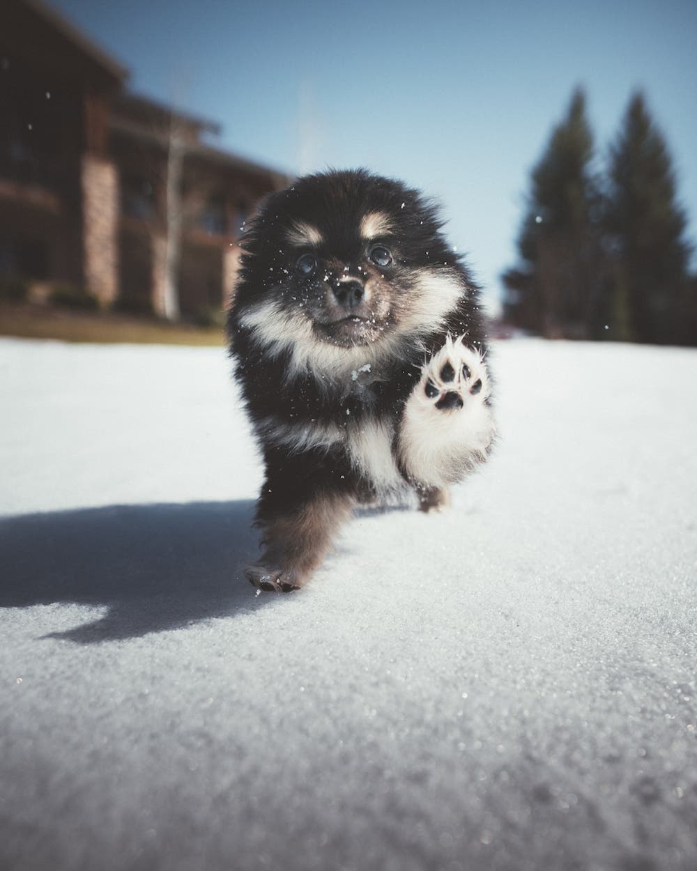 Zach Allia nature photography