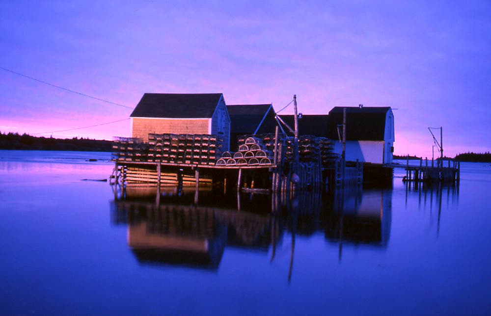 Allen Rokach waterfront