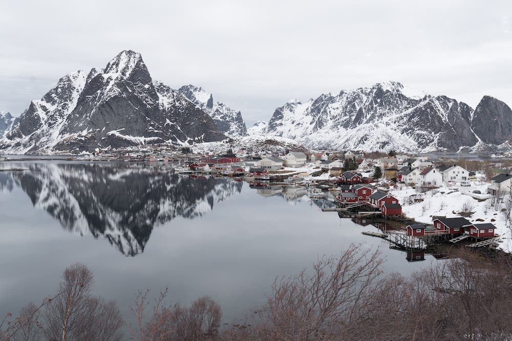 Reine ryan field
