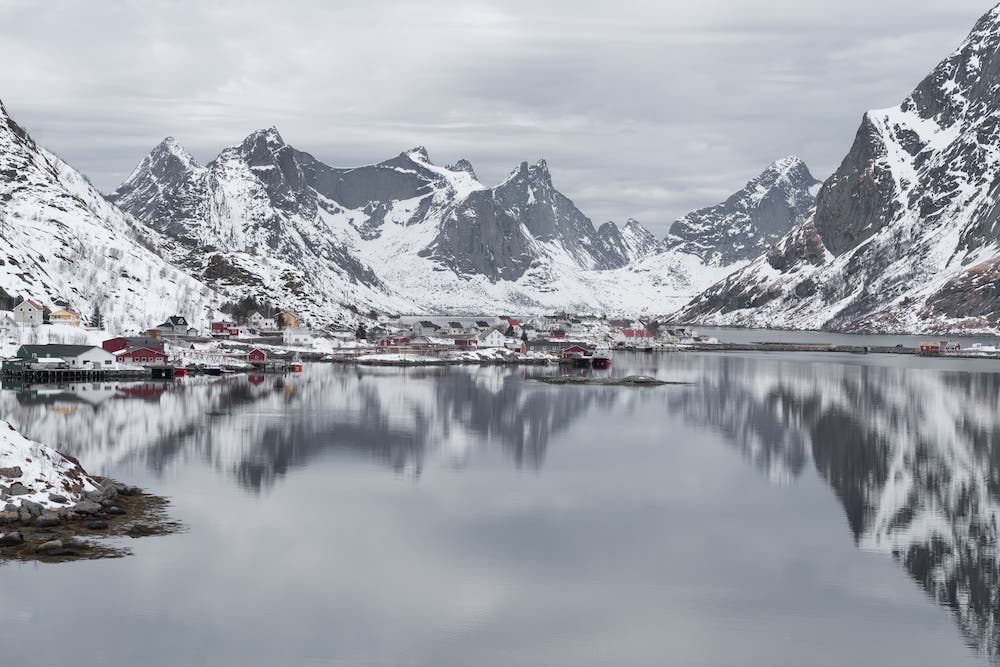 Reine ryan field