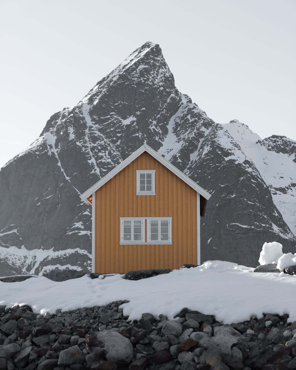 Reine ryan field