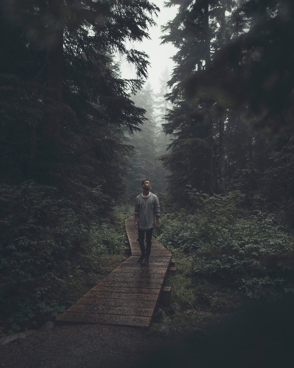 jordan taylor wright photographer