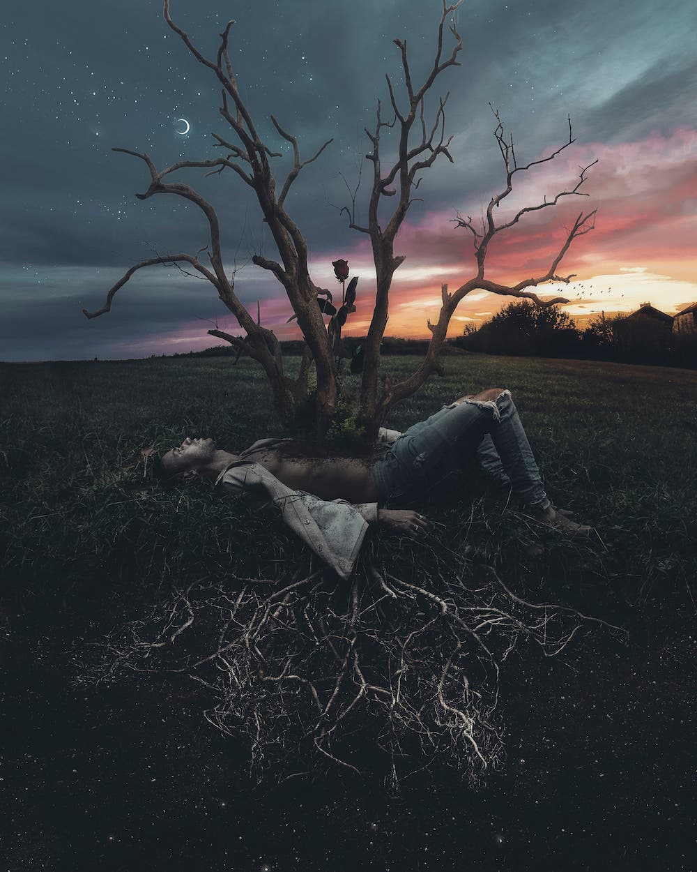 jordan taylor wright photographer