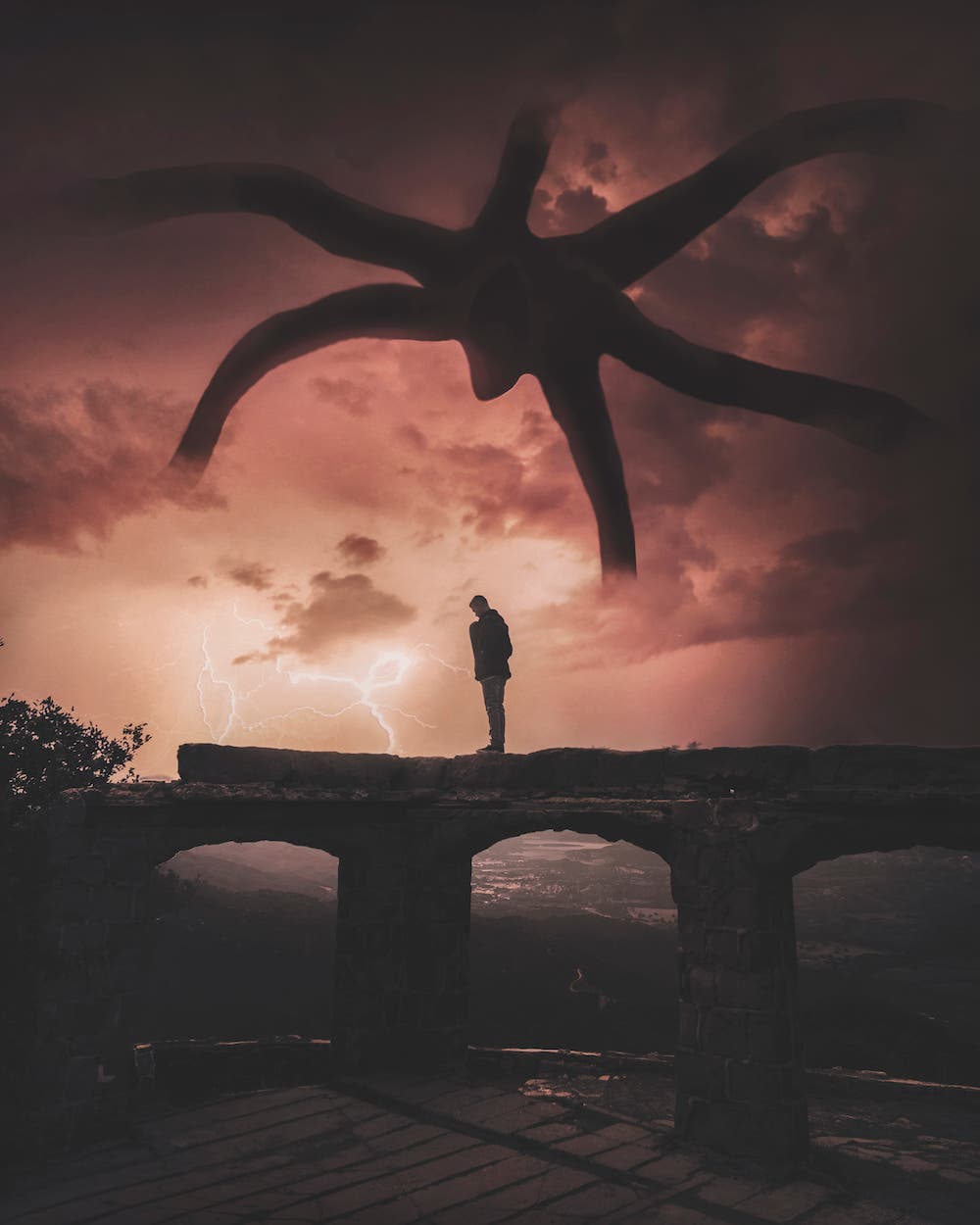 jordan taylor wright photographer
