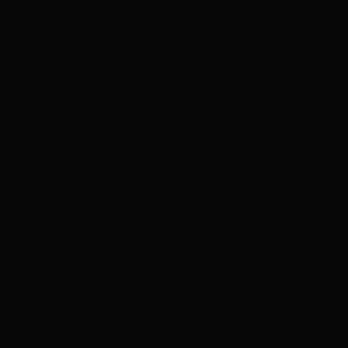 Studio Dynamics canvas Studio backdrop in black
