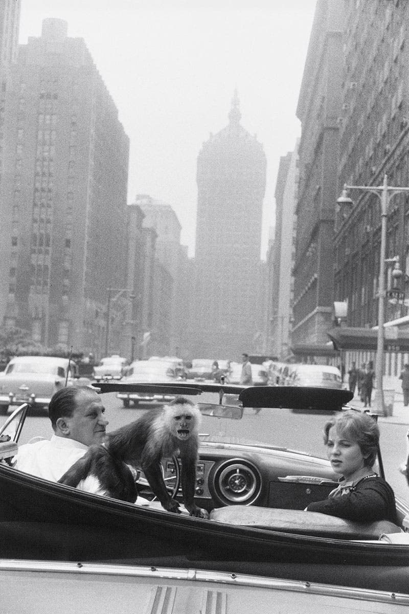 The Long Awaited Garry Winogrand Documentary Highlights The Iconic