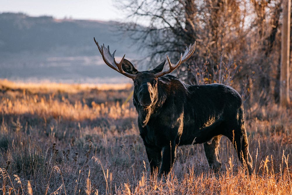 outdoor travel adventure photography Nathan Lee Allen