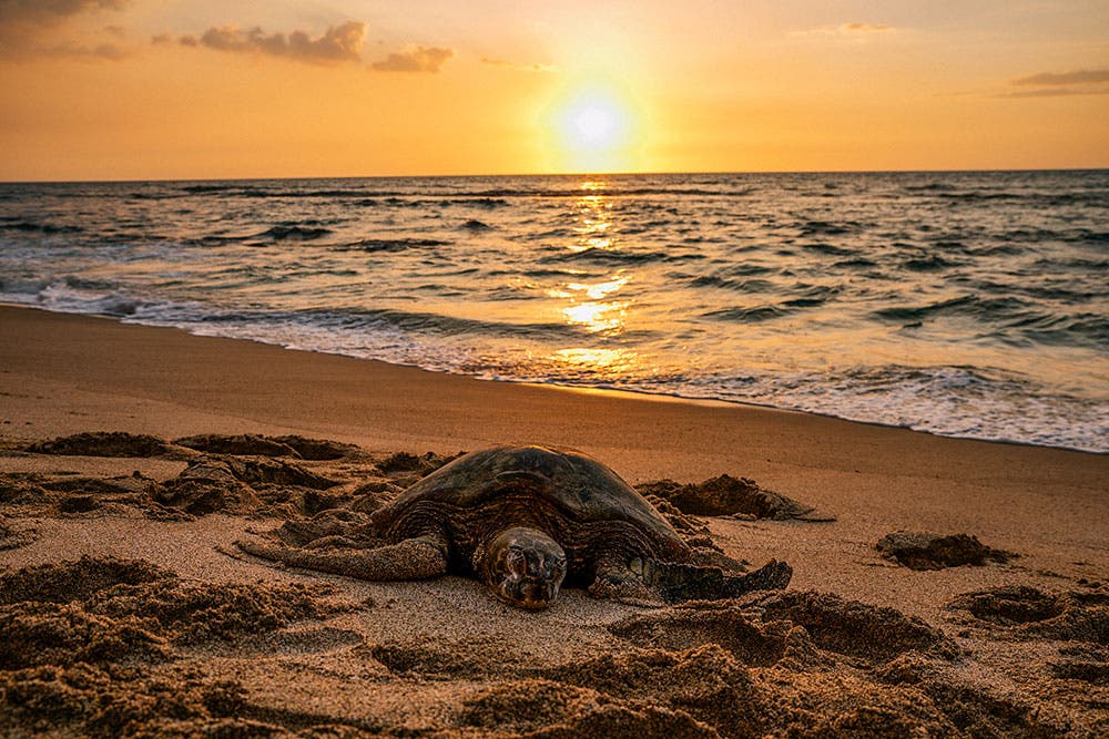 outdoor travel adventure photography Nathan Lee Allen
