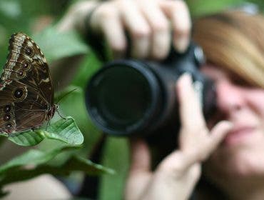 macro photography