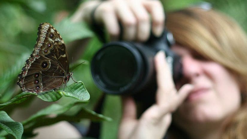 macro photography
