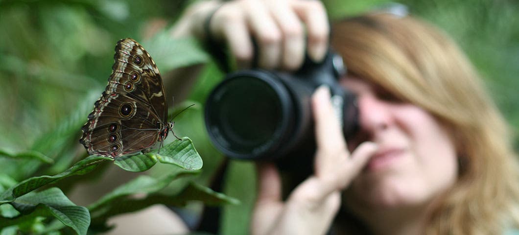 macro photography