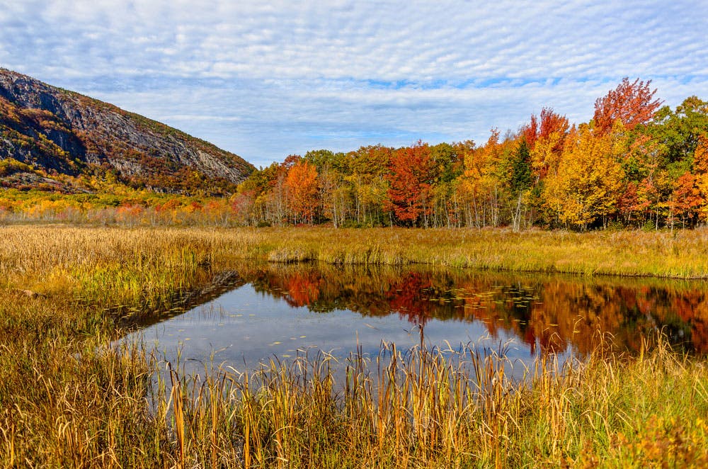 acadia national park