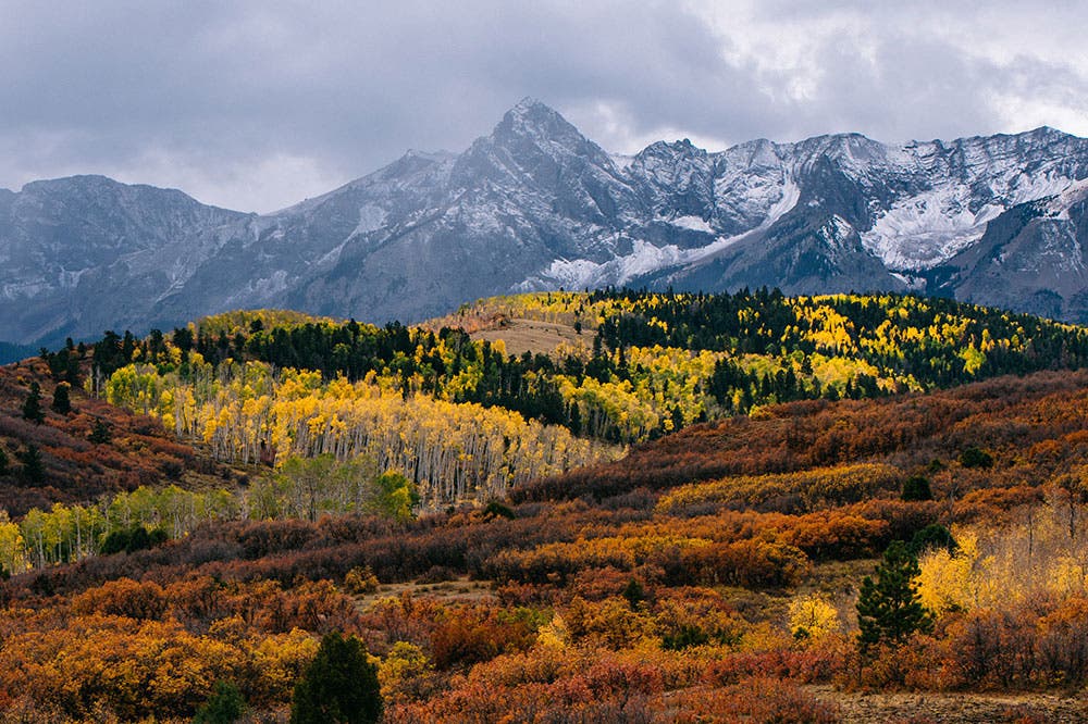The Colorado Rockies