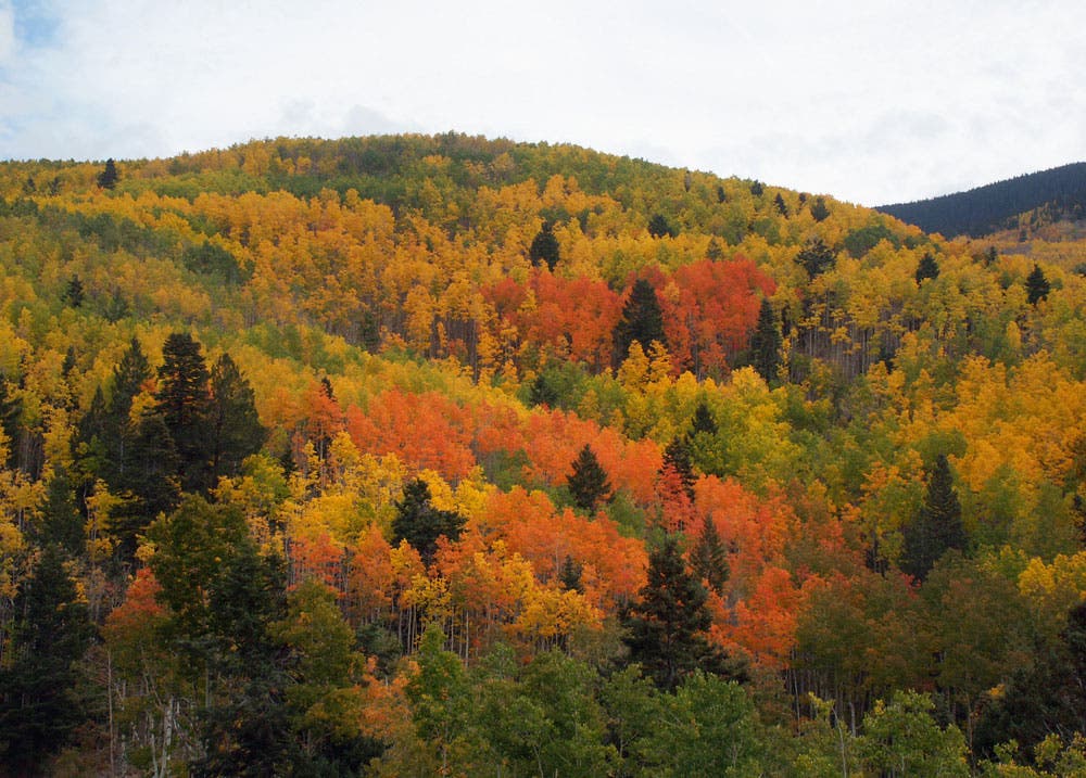 Taos, New Mexico