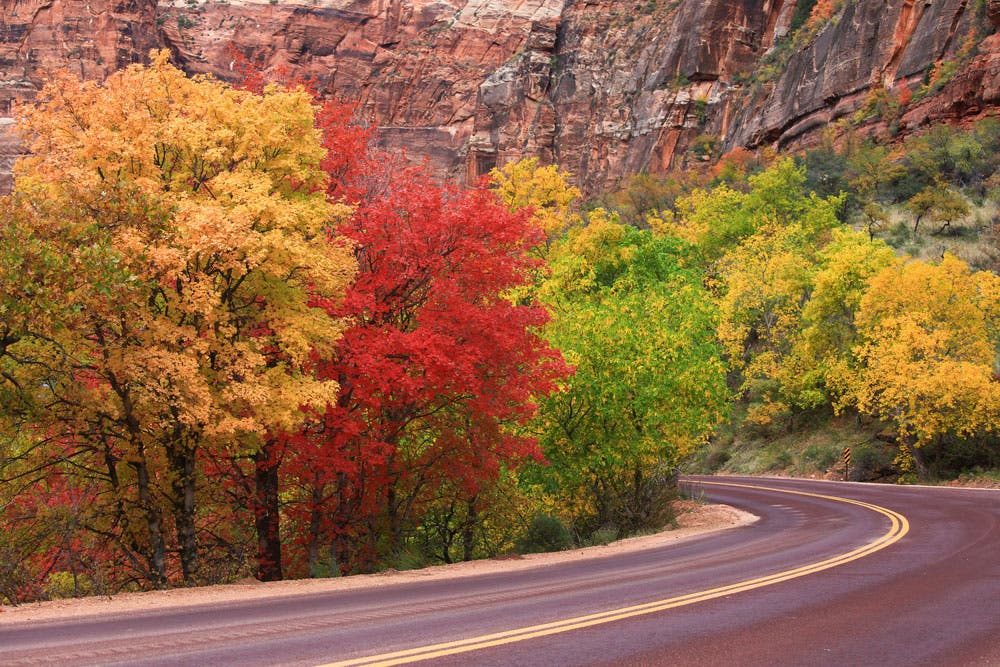 zion national park
