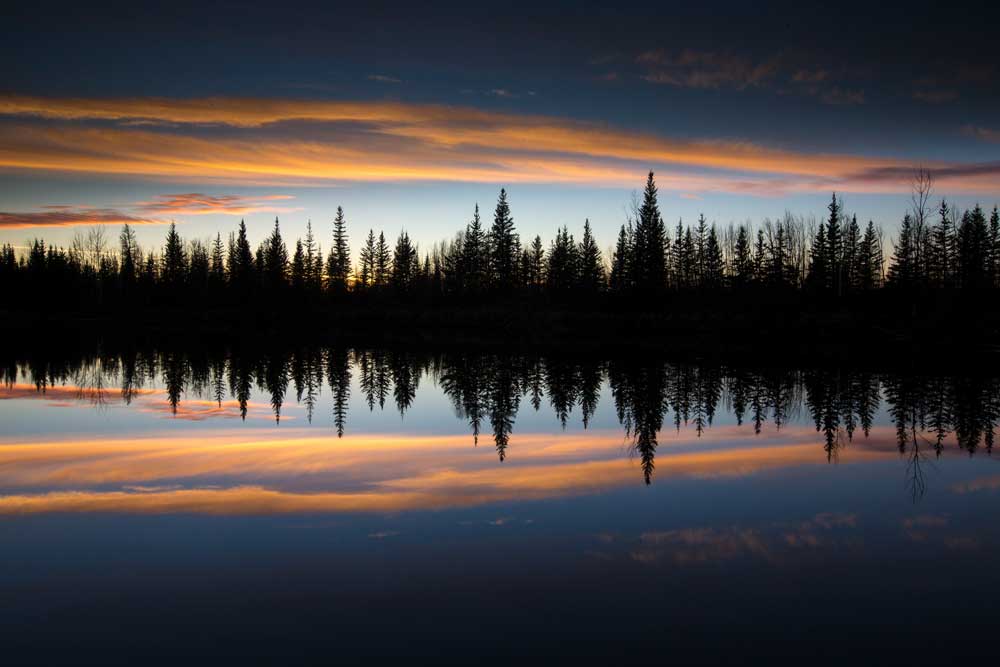 Dave Brosha photography