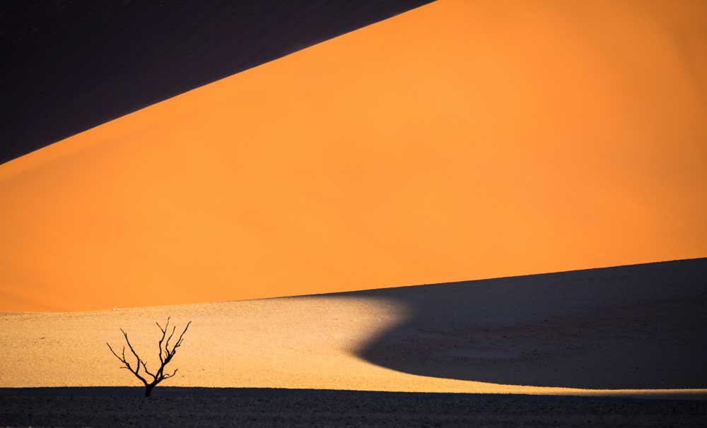 Dave Brosha photography