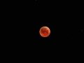 Super Blood Moon