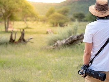 wildlife photography