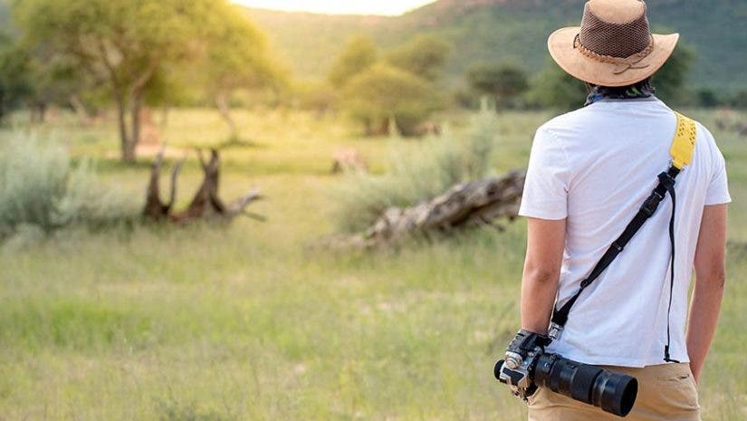 wildlife photography