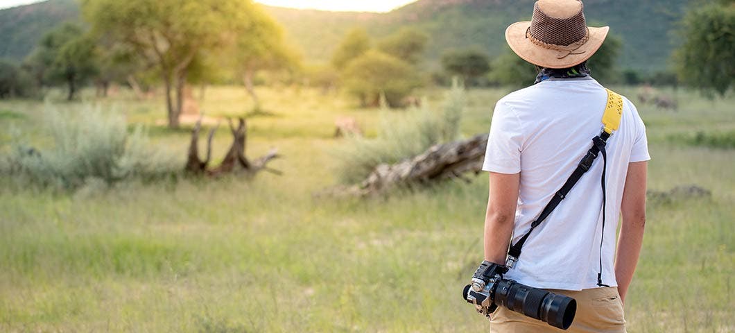 wildlife photography
