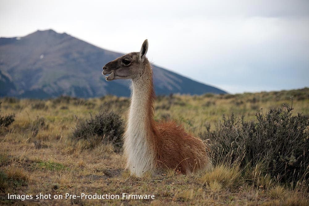 Panasonic S1 S1R Patagonia Adorama Ben Grunow
