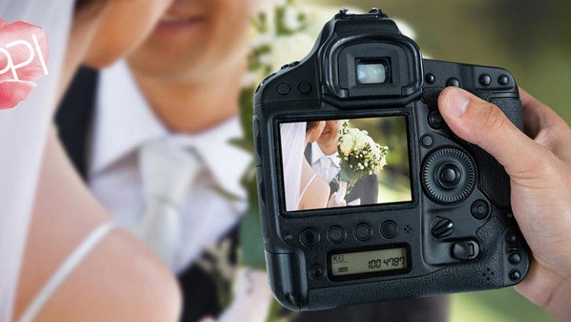 WPPI 2019