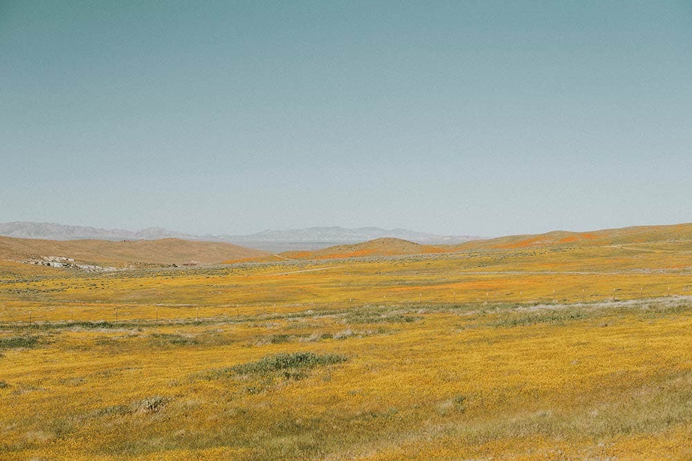 Antelope Valley, Lancaster, United States