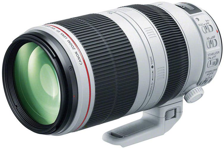 Canon EF 100-400mm f/4.5-5.6L IS II USM Best Telephoto Lens for Canon