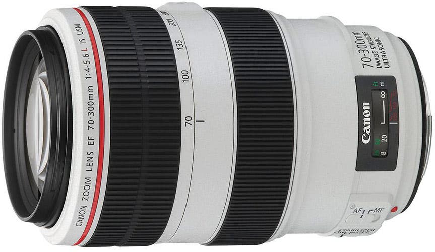 Canon EF 70-300mm f/4-5.6L IS USM UD Best Telephoto Lens for Canon