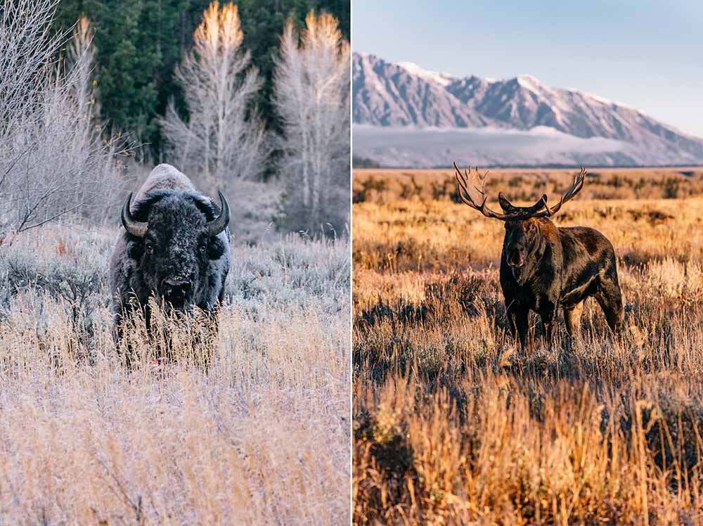 grand teton national park nathan lee allen