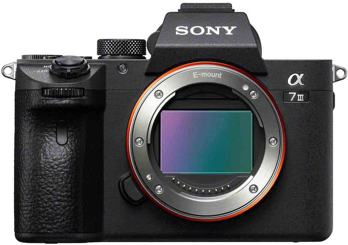 Sony a7III best camera for food photography