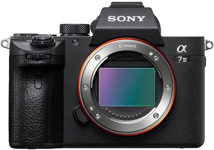 Sony Alpha a7III best camera for concert photography