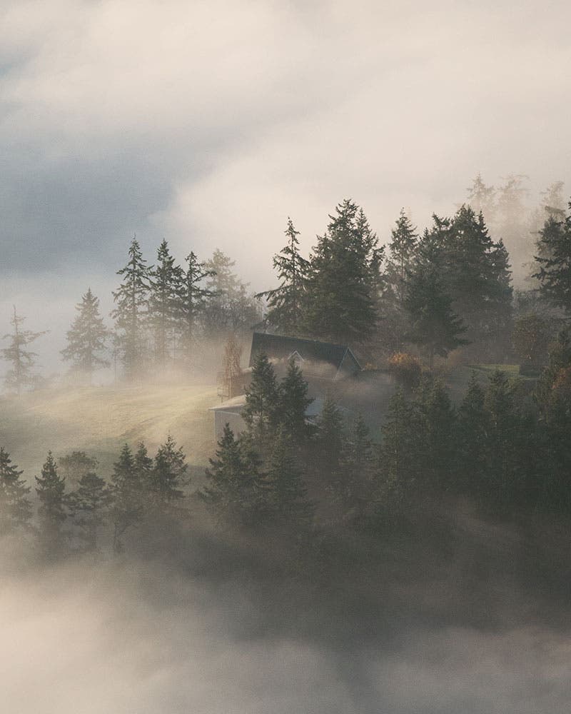 Ryan Field landscape photography