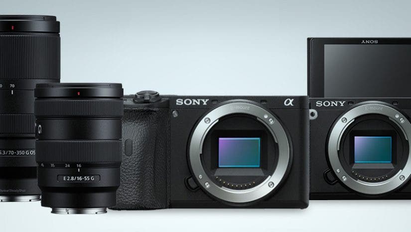 Sony a6600, sony a6100, sony 16-55mm F2.8 G APS-C Zoom Lens and 70-350mm F4.5-6.3 G OSS Super-Telephoto APS-C Zoom Lenses