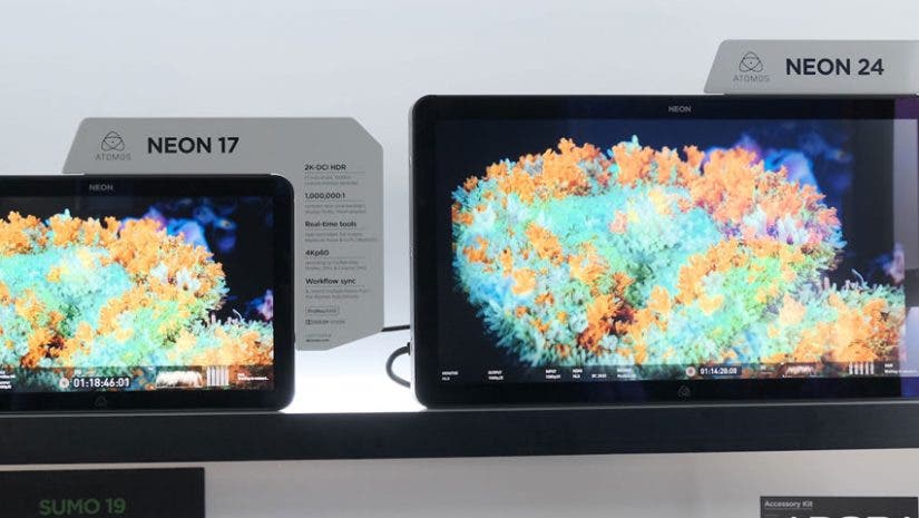 atomos ibc 2019 neon monitors