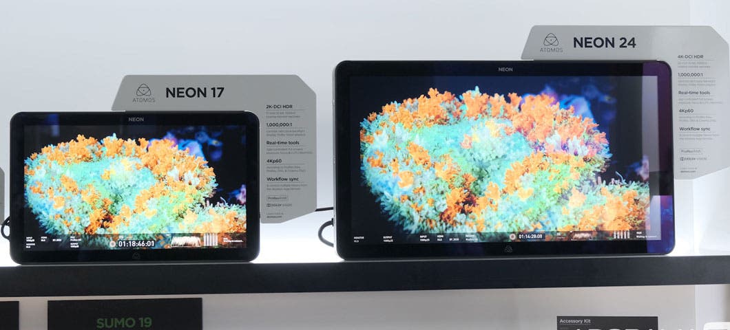 atomos ibc 2019 neon monitors