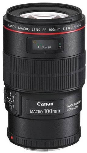Canon EF 100mm f/2.8L IS USM Macro AF lens for macro photography