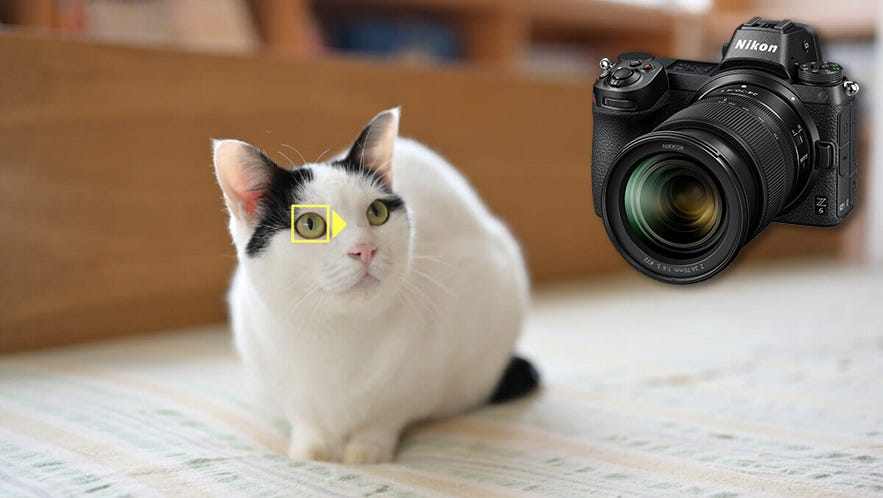 Nikon Firmware Updates Introduce Animal Eye AF to Z Series Mirrorless  Cameras