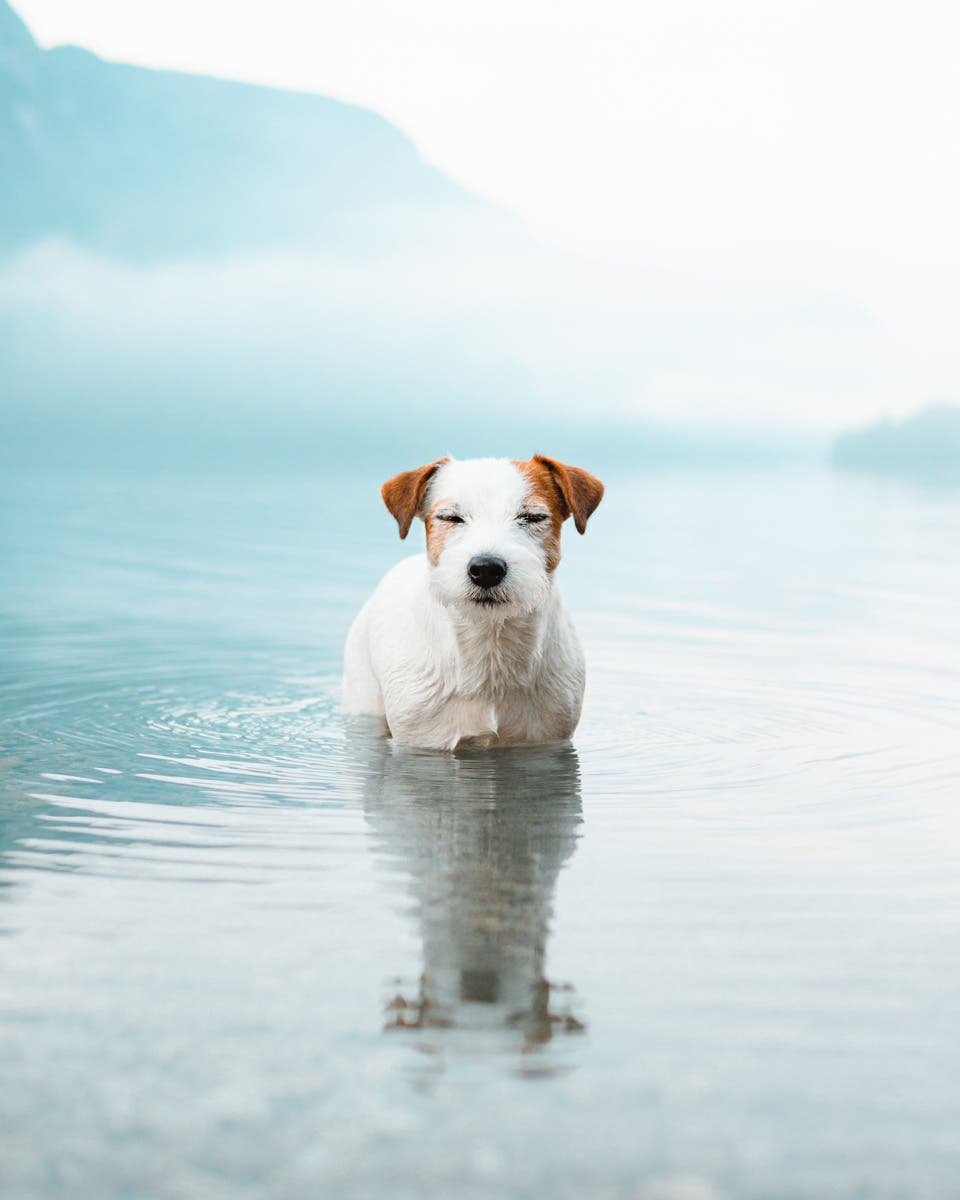 Maria Vanonen photography